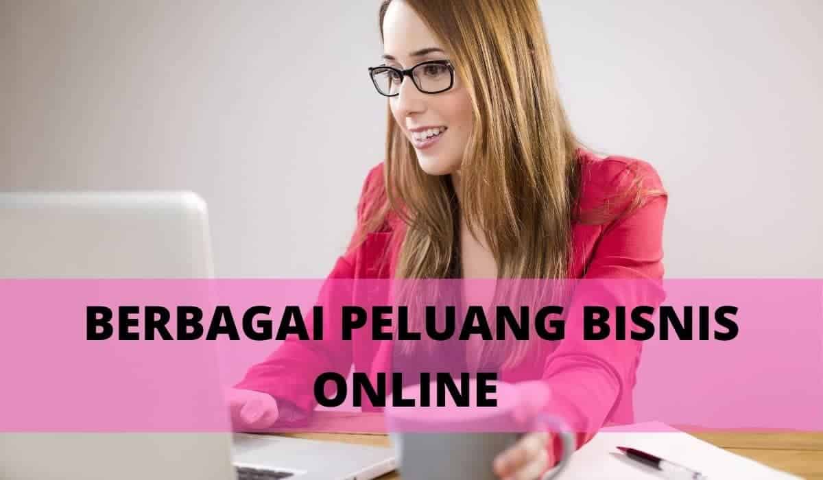 Peluang Bisnis Online